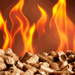 Granulé de bois français