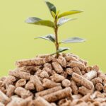 Granulés de bois stocké au sec