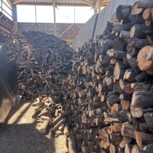 IMG_9499 Bois de chauffage chêne vert sec – 50 cm – En vrac