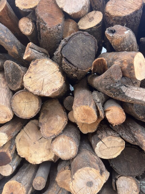 Bois de chauffage chêne vert sec – 50 cm – En vrac