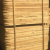 piquet carré acacia Piquet carré acacia 50 x 50 mm – 0,80 m